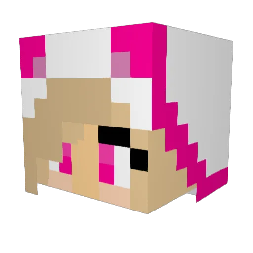 Heidi1o1 Minecraft avatar head, 3D render