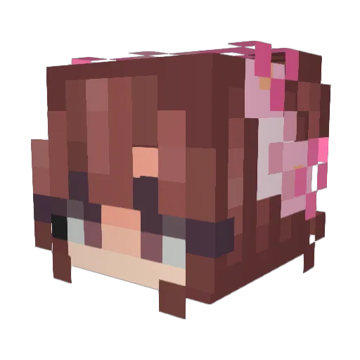 Heidi515 Minecraft avatar head, 3D render