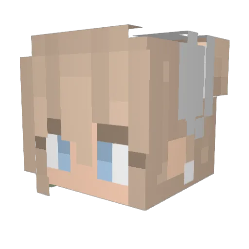 HeidiFox Minecraft avatar head, 3D render