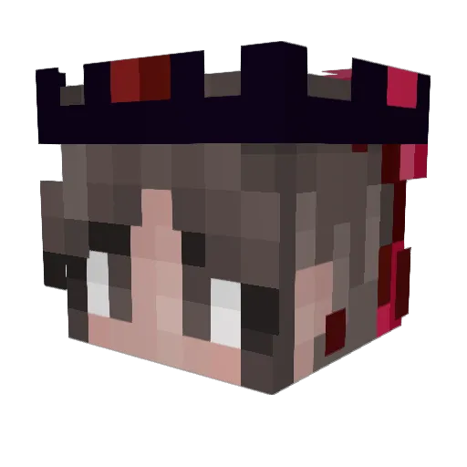 HeidiHo23 Minecraft avatar head, 3D render