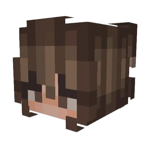 Heidihoxox Minecraft avatar head, 3D render