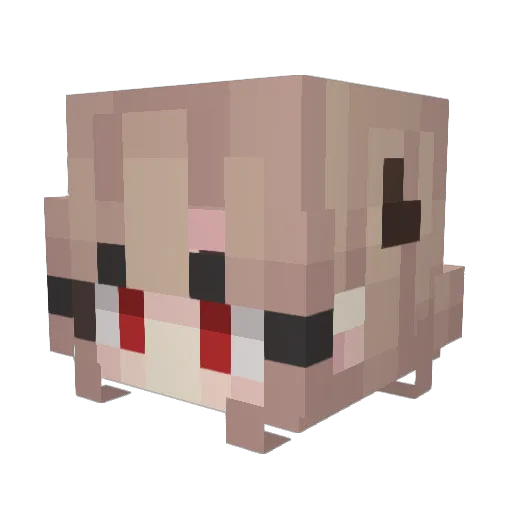 Heidiz Minecraft avatar head, 3D render