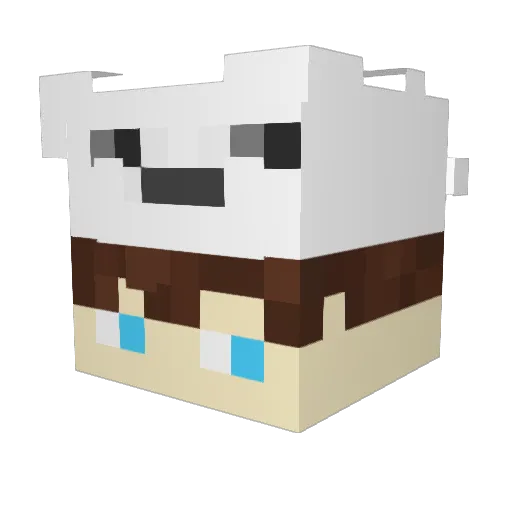 Heiimlich Minecraft avatar head, 3D render