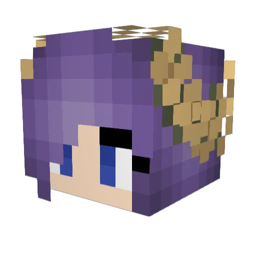 HeikaHaku Minecraft avatar head, 3D render