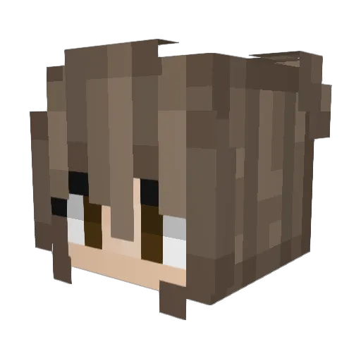 Heikay Minecraft avatar head, 3D render