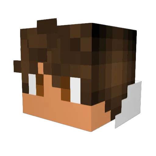 Heikkinee Minecraft avatar head, 3D render