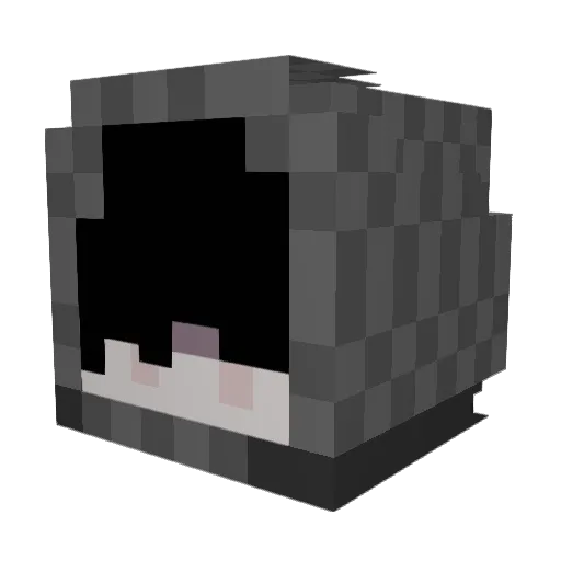 HeilKyneax88 Minecraft avatar head, 3D render