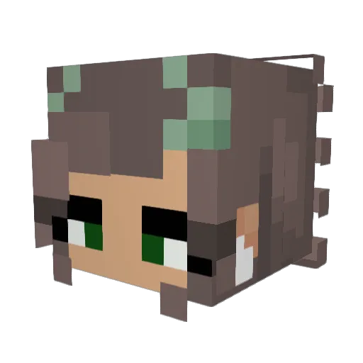 HeilWill Minecraft avatar head, 3D render