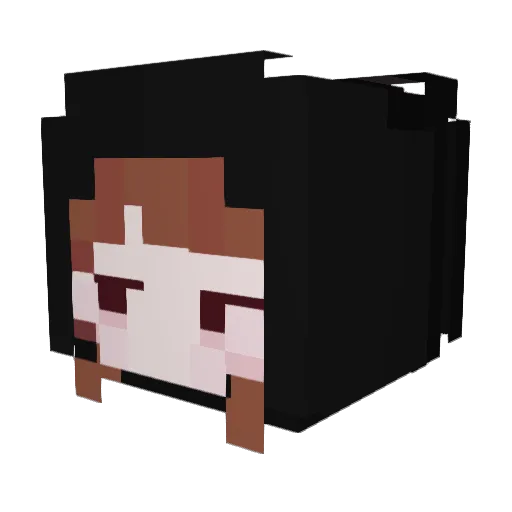Hein02 Minecraft avatar head, 3D render