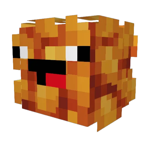 Hein_z Minecraft avatar head, 3D render