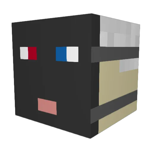 HeinekenFein Minecraft avatar head, 3D render