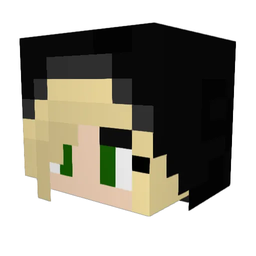 Heinerkills Minecraft avatar head, 3D render