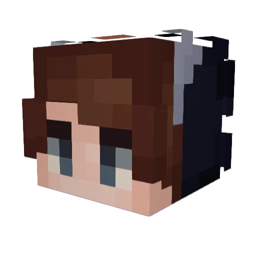 HeinzBeans Minecraft avatar head, 3D render
