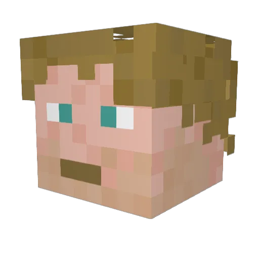 HeinzMueller Minecraft avatar head, 3D render