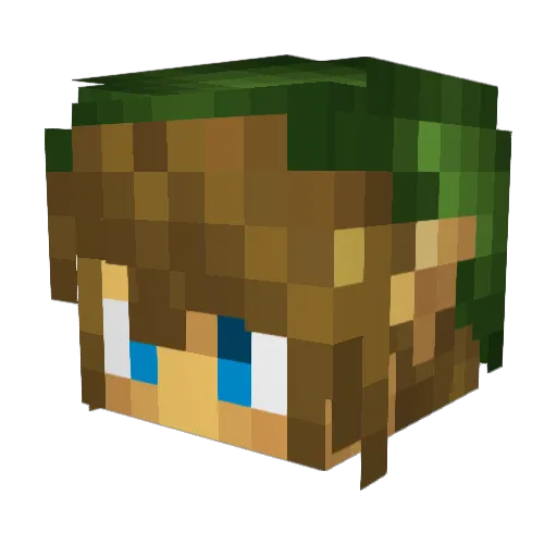 Heinz_Legend Minecraft avatar head, 3D render