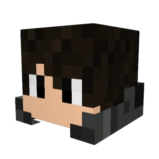 HeinziAP Minecraft avatar head, 3D render