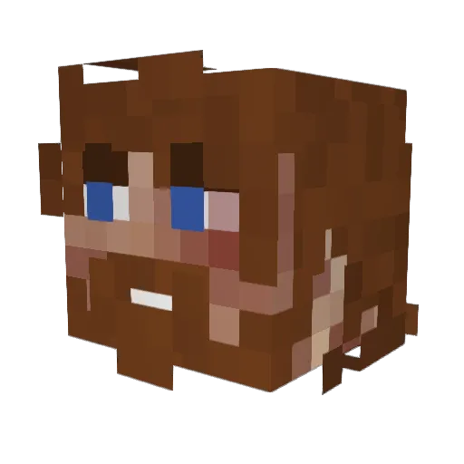 Heisenbergvard Minecraft avatar head, 3D render