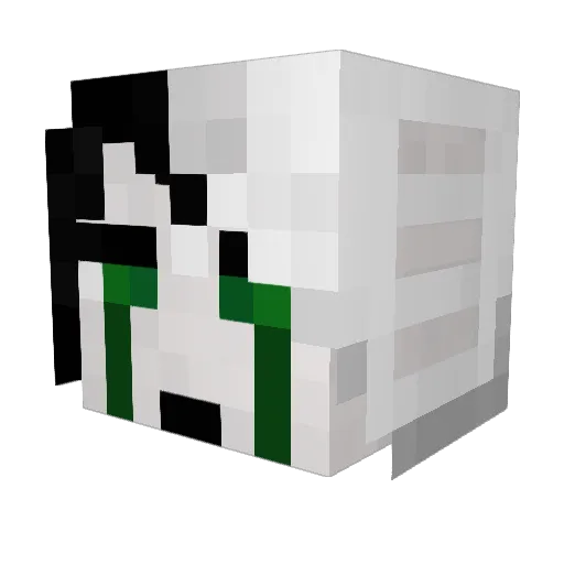 Heithinn Minecraft avatar head, 3D render