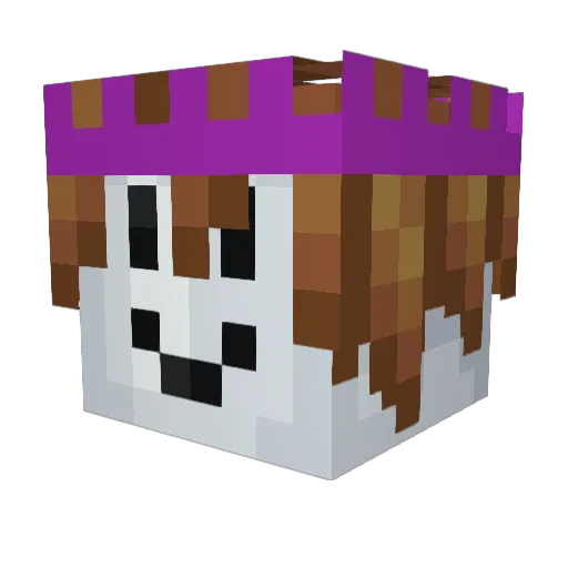 HeitorBosio Minecraft avatar head, 3D render