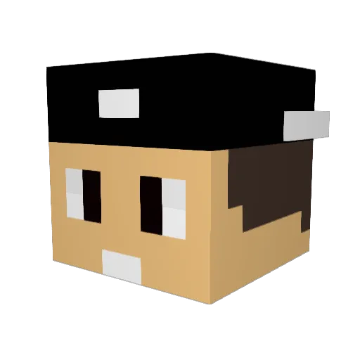 HeitorFUMASA Minecraft avatar head, 3D render