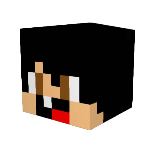 HeitorGabriel Minecraft avatar head, 3D render
