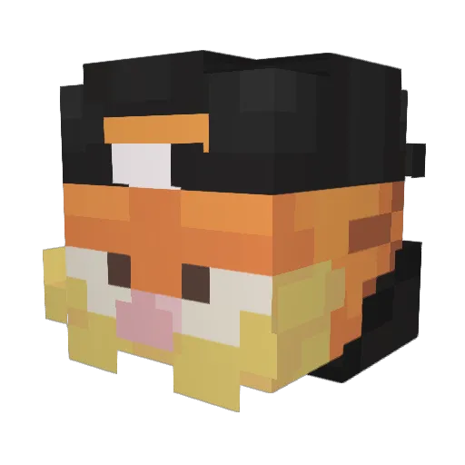 Heitorbg Minecraft avatar head, 3D render