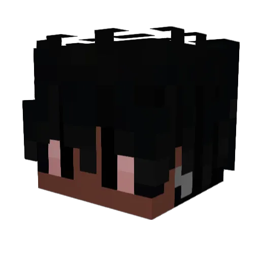 Heiwa4669 Minecraft avatar head, 3D render