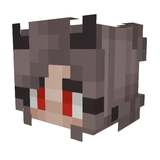 Hej_Tykke Minecraft avatar head, 3D render