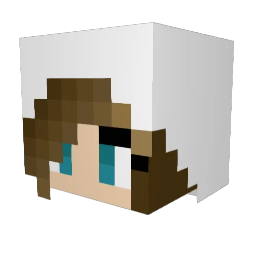 Hej_vb Minecraft avatar head, 3D render