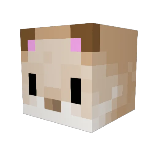 Hejemma Minecraft avatar head, 3D render