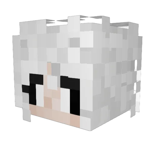Hekky Minecraft avatar head, 3D render