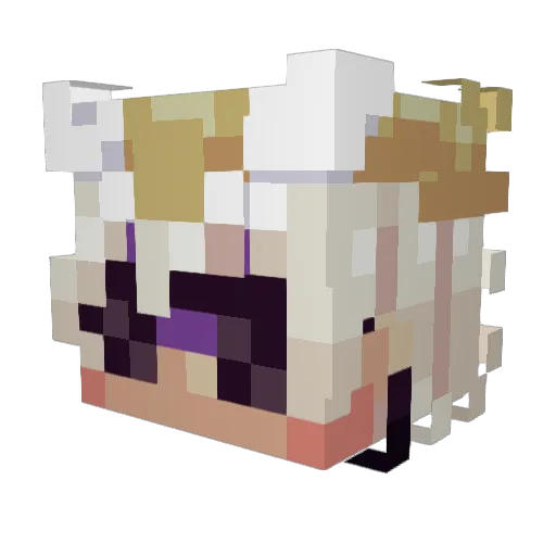 Heksar123456 Minecraft avatar head, 3D render