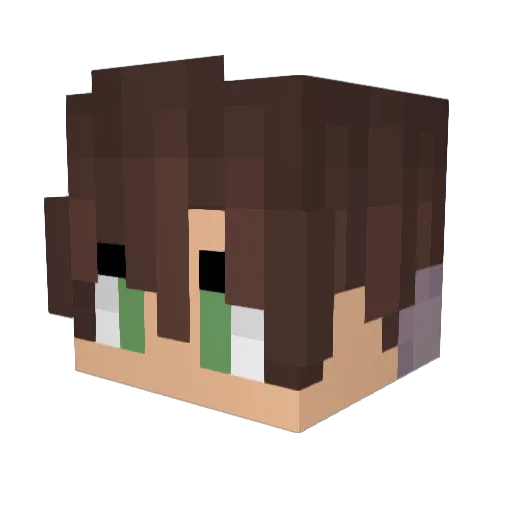 HektorVonUrff Minecraft avatar head, 3D render