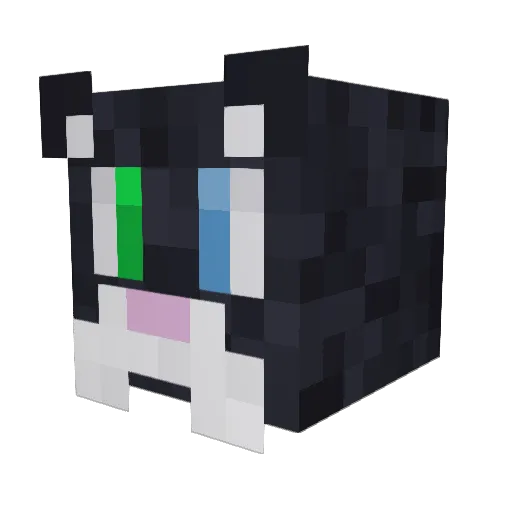 HekutaFelis Minecraft avatar head, 3D render