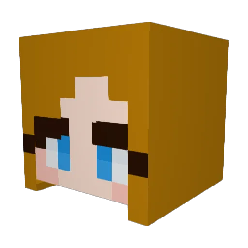 Hel554 Minecraft avatar head, 3D render