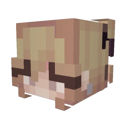 HelaT Minecraft avatar head, 3D render