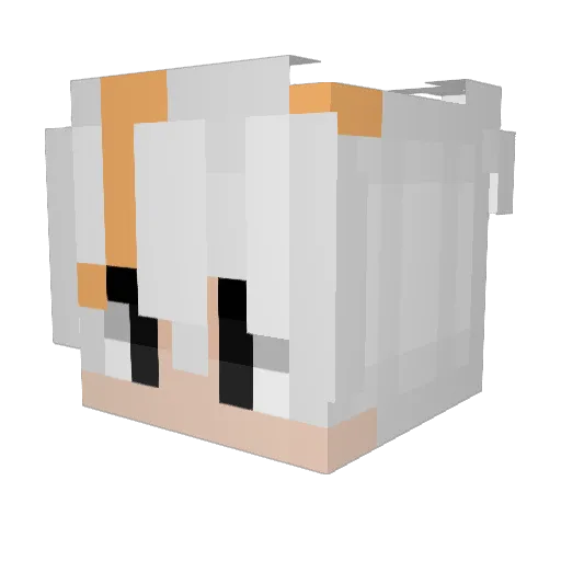 Heladiin Minecraft avatar head, 3D render