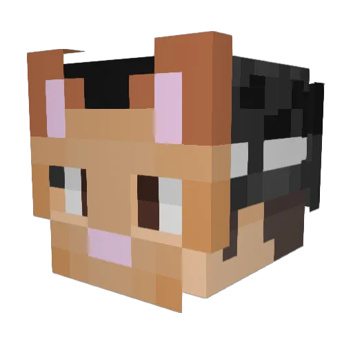 HelalDayiOglu Minecraft avatar head, 3D render