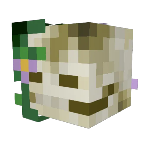 HeldPaul8559 Minecraft avatar head, 3D render