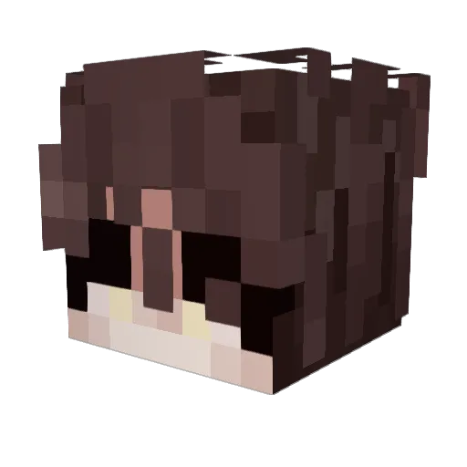 HelderHF Minecraft avatar head, 3D render