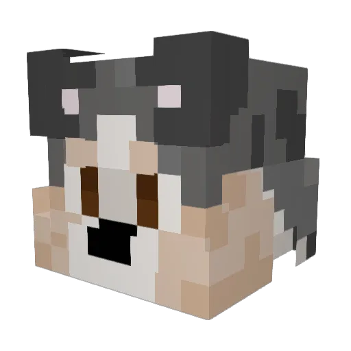 HeldigStjerne Minecraft avatar head, 3D render