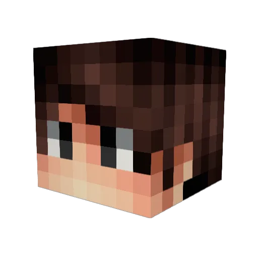 Hele_Meneer Minecraft avatar head, 3D render