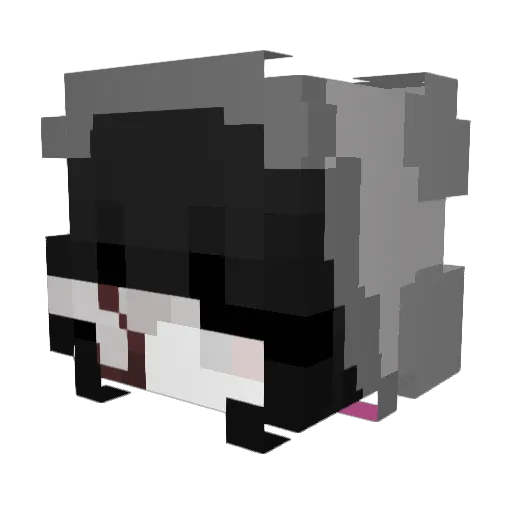 Helena1604 Minecraft avatar head, 3D render