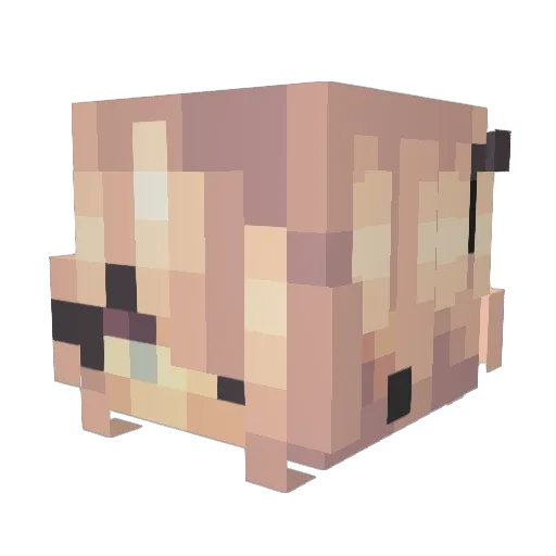 HelenaFlavia Minecraft avatar head, 3D render