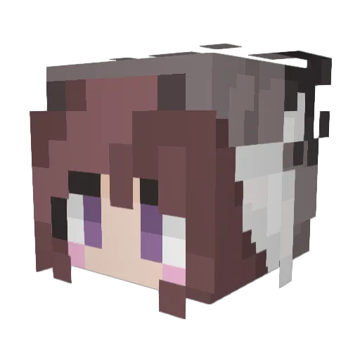 HelenaH05 Minecraft avatar head, 3D render
