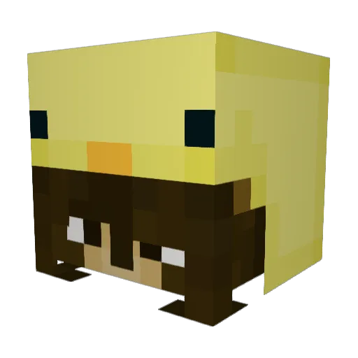 Heli_Absturz Minecraft avatar head, 3D render
