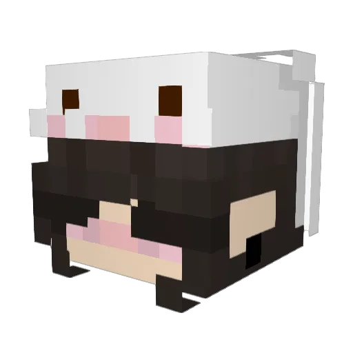 Heli_blesk Minecraft avatar head, 3D render
