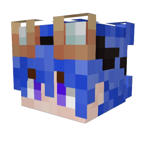 Helioflos Minecraft avatar head, 3D render