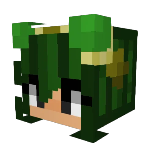 Heliofobia Minecraft avatar head, 3D render