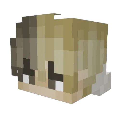 Heliomboxer11 Minecraft avatar head, 3D render